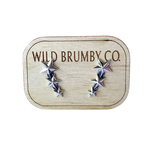 Sterling Silver Star Shower Earrings